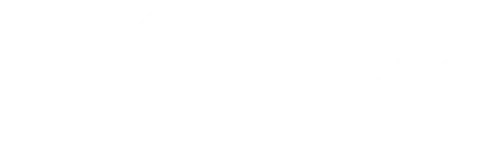 A1 Service logo