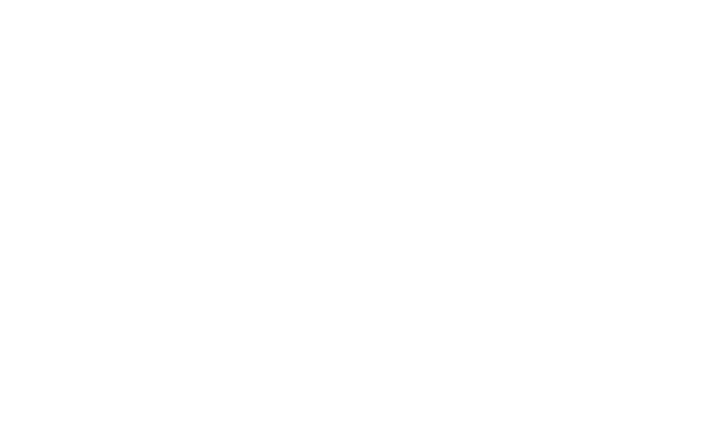 southern university logo